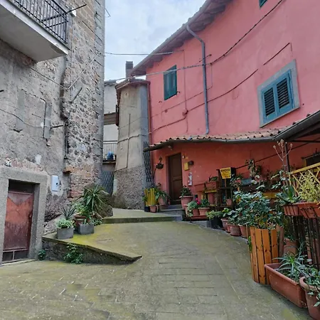 Apartment Soriano *